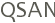 QSAN