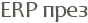 ERP ����
